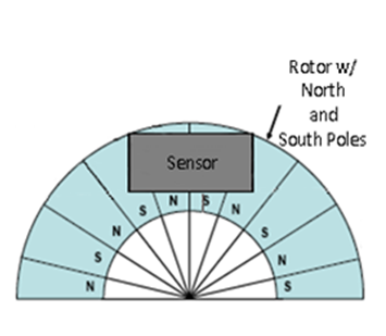 Figure 2 Magnetized Rotor